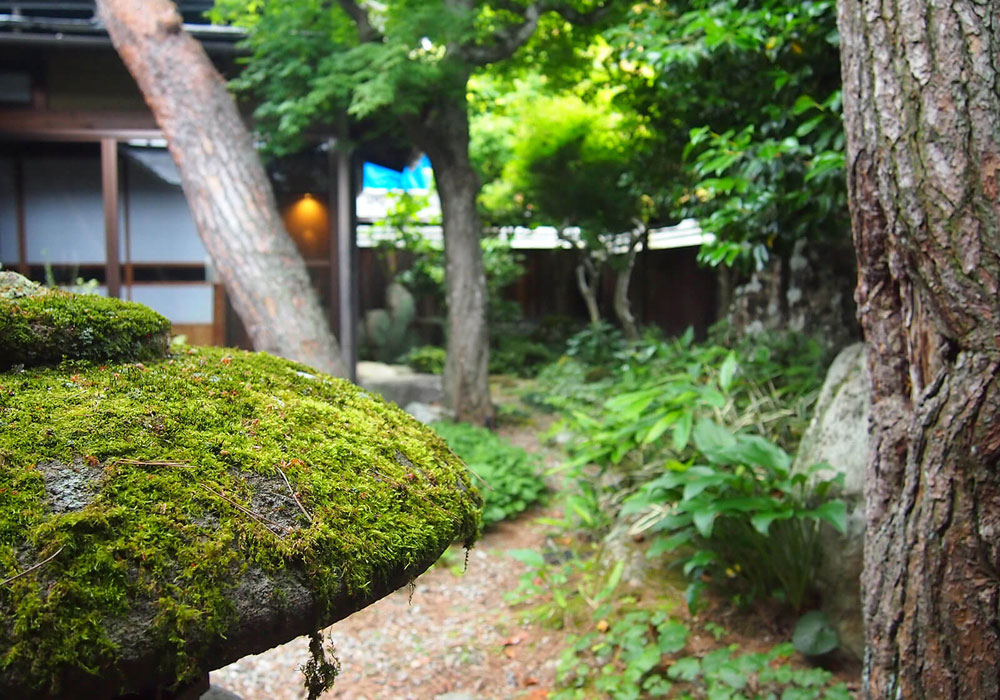 庭の宿シリーズ「草の庭」